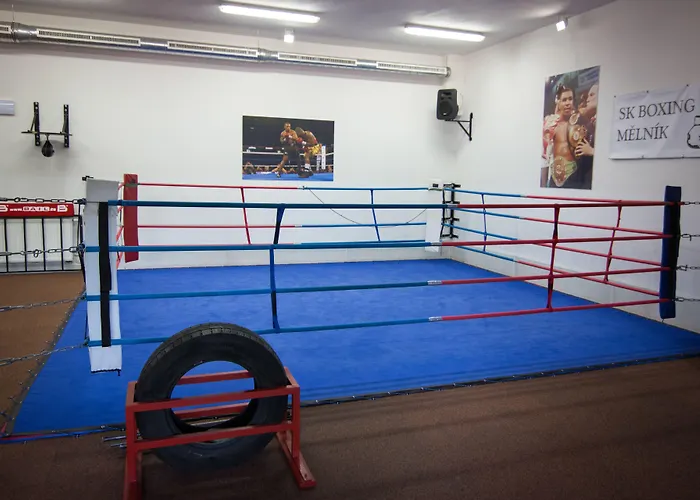 Olympionik Hotell 3*